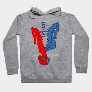 Cute sea horses Hoodie